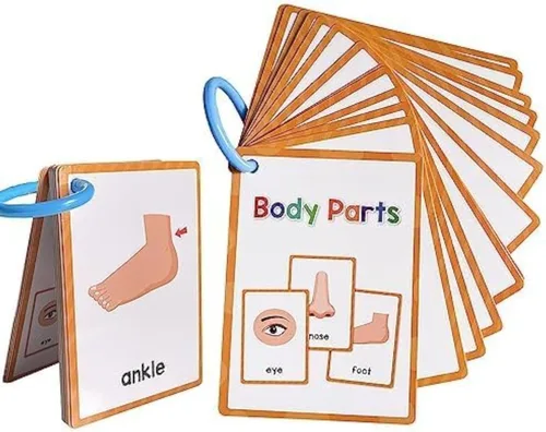 Vista 18 de Lachilly Tarjetas didácticas de aprendizaje de 12 temas, palabras de alta frecuencia, lectura inicial, jardín de infantes a primer grado