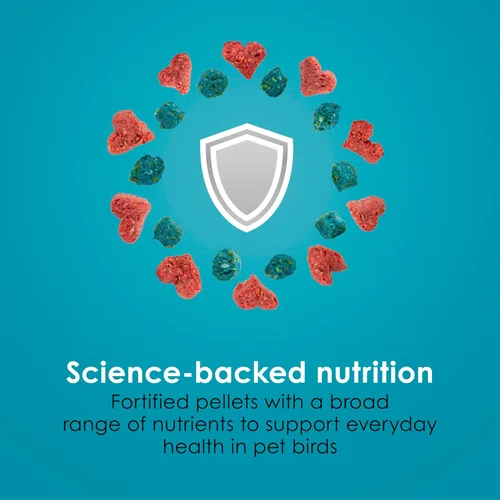 Vista 7 de Kaytee Forti-Diet Pro Health Canary & Finch Alimento para pájaros para mascotas, 2 libras