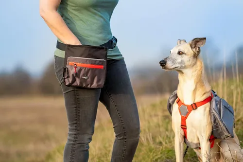 Vista 5 de iEnergy™ ELI - Bolsa para cinturón: accesorio ideal para entrenamiento de perros, cinturón manos libres para pasear perros con bolsa para golosinas