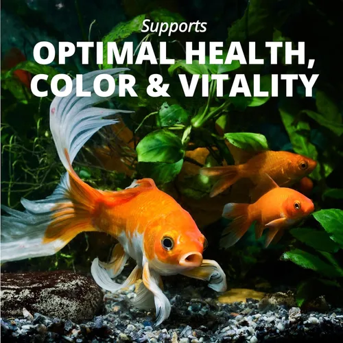 Vista 5 de Tetra Goldfish Flakes, dieta nutricionalmente equilibrada para peces de acuario, copos enriquecidos con vitamina C, 2.2 libras