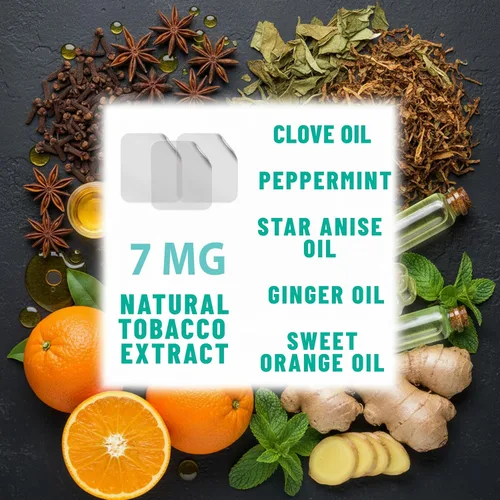 Vista 4 de TOLEVITA Parches Herbales Anti-Fumar Transparentes 7 mg Parches para Dejar de Fumar para Ayudar a Reducir los Antojos Ayuda Herbal para Dejar