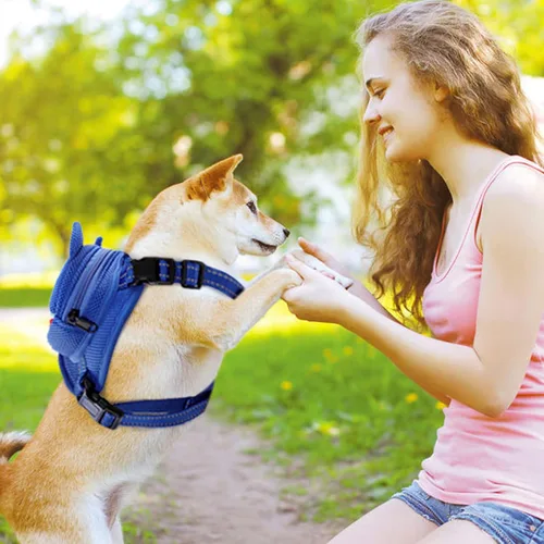 Vista 7 de Arnés para perro con mochila, arnés ajustable para perros pequeños y medianos, mochilas transpirables sin tirones para perros, para viajes