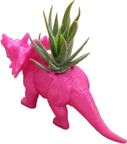 Vista 8 de Aislor Maceta suculenta con forma de dinosaurio con bandeja de drenaje, florero multiusos para bonsái, maceta creativa de cactus con orificio