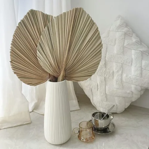 Vista 3 de Total de 3 hojas de palma secas, decoración de hierba seca de las pampas, lanzas de palma secas de 17 pulgadas para arreglos florales, decoración