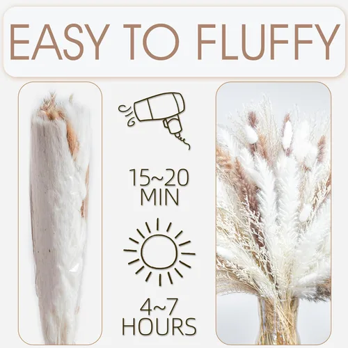 Vista 6 de 70 UNIDADES Hierba de Pampa Seca Natural Estilo Boho para Decoración del Hogar Ramo de Phragmites Flores Secas para Arreglos Florales de Boda