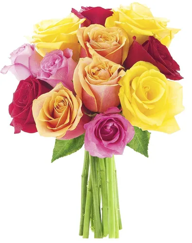 Vista 28 de KaBloom Entrega de primera temporada: elegante ramo en cascada de 4 rosas rosas, 4 rosas amarillas, 4 rosas blancas. Regalo para cumpleaños