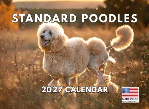 Vista 154 de Calendario Akita 2026 mensual de pared de 12 meses, fabricado en Estados Unidos