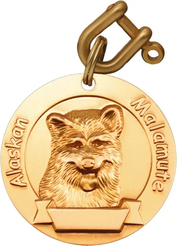 Vista 11 de Etiquetas de identificación para perros de latón macizo con grabado de letras, patrón de alivio 3D frontal, texto personalizado grabado láser