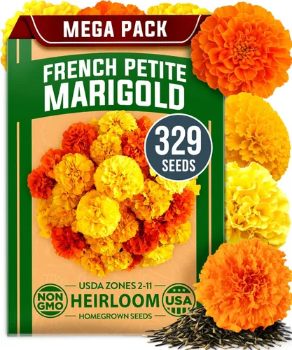 Vista 37 de 32 semillas de verduras y frutas tradicionales para plantar - Más de 16,000 semillas Bóveda de semillas de supervivencia sin OMG Alta