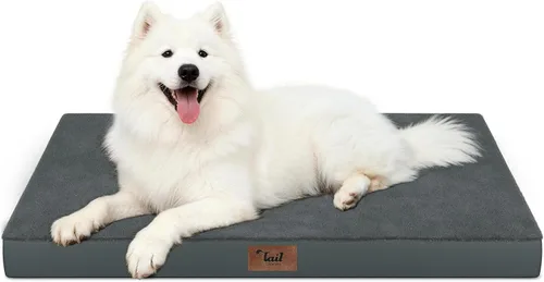 Vista 91 de Cama para perros y gatos pequeños, impermeable, para jaula de huevos, espuma ortopédica con funda Oxford lavable y extraíble, color verde Amy
