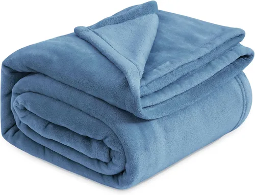 Vista 51 de Bedsure GentleSoft Manta de forro polar, tamaño individual, color gris, 10.53 oz/m², ligera, afelpada, acogedora, suave y cálida para cama, sofá