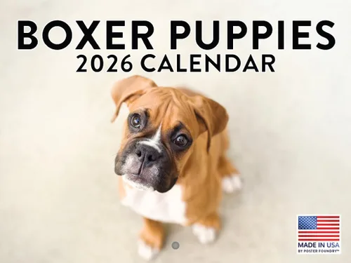 Vista 195 de Calendario Akita 2026 mensual de pared de 12 meses, fabricado en Estados Unidos