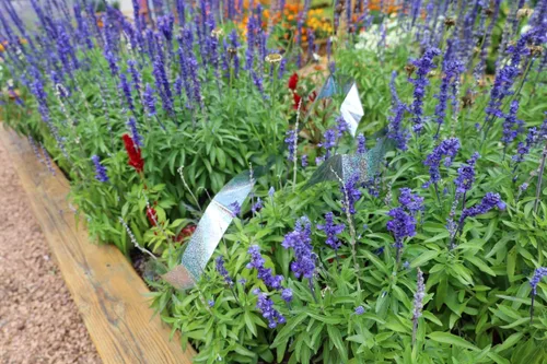 Vista 4 de Bird-X Irri-Tape, Holographic Bird Scare Tape, Iridescent Foil Reflective Tape for Multi-Sensory Attack, Easy to Install, 2" W x 25' L