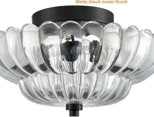 Vista 4 de HYDELITE Lámpara de Techo Moderna Negra Luz de Techo Tradicional Semi Empotrada con Vidrio Transparente Festoneado para Sala de Estar Pasillo
