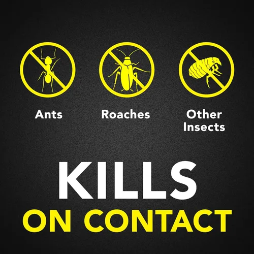Vista 2 de Raid Ant & Roach Killer - Spray para insectos listados, mata por semanas, aroma a lavanda, 17.5 oz, paquete de 1