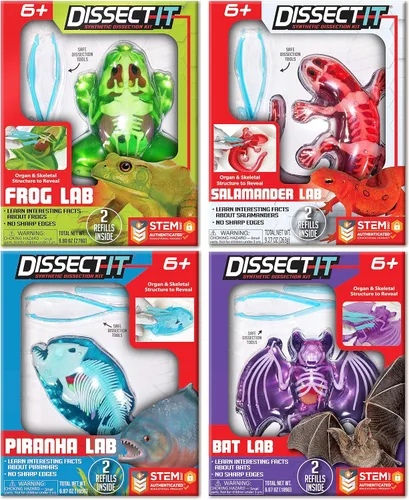 Vista 12 de Dissect-It Juguete de Disección de Laboratorio Sintético Simulado, Proyectos STEM para Niños, Ciencia Animal, Biología y Anatomía Kit de Aprendizaje