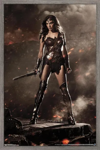 DC Comics Movie Batman v Superman - Wonder Woman Wall Poster, 22.4L x 14.7W, Barnwood Framed Version