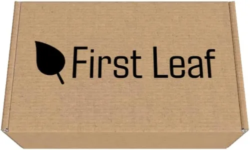 Vista 2 de G Zero - Paquetes de polvo con electrolitos, vitaminas y sin azúcar, 20 unidades (paquete de 2) (20 paquetes, ponche de frutas)