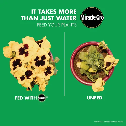 Vista 7 de Miracle-Gro Alimentador de jardín con alimento vegetal soluble en agua, 1 libra (paquete de 6)