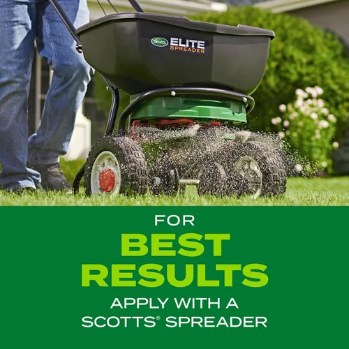 Vista 9 de Scotts Turf Builder Rapid Grass - Mezcla de festuca alta, semillas de hierba con fertilizante para césped completo y verde en solo semanas, 2.4