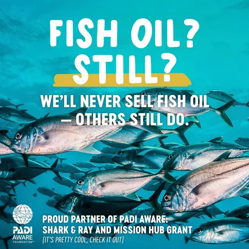 Vista 3 de Freshfield Omega 3 vegano, aceite de algas (algas), empresa libre de aceite de pescado, probado por terceros, sin carragenano, suplemento de DHA