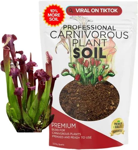 Vista 17 de Tierra para suculentas premium todo uso Gran envase de 2.2 cuartos Premezclada lista para usar para cactus y suculentas Turba canadiense