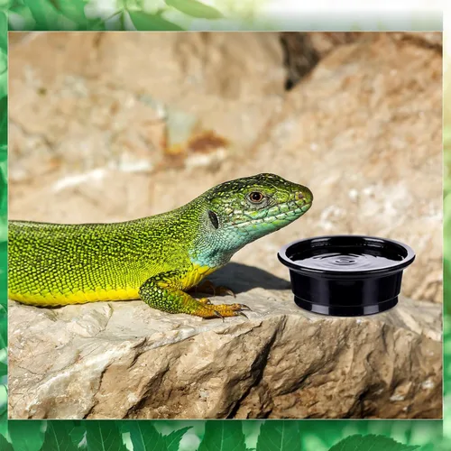 Vista 2 de Maxcheck 500 tazas de alimentación Gecko de 0.5 onzas, tazas pequeñas de comida y agua para reptiles, cuencos de plástico con barba de dragón