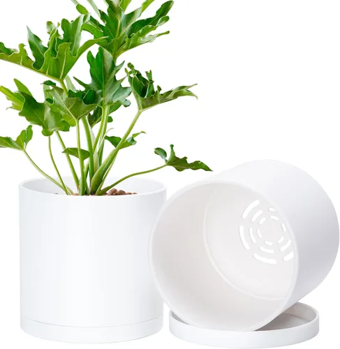 Vista 25 de D'vine Dev Paquete de 24 mini macetas de plástico de 2 pulgadas, pequeñas macetas de jardín para plantas con agujeros de drenaje y platillos