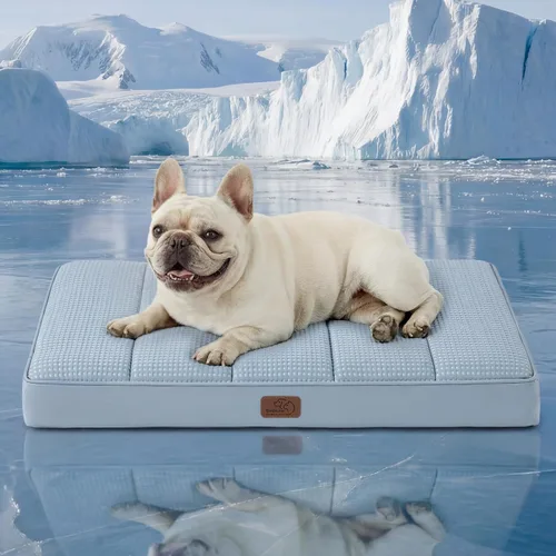 Vista 41 de Bedsure Camas para Perros Pequeños – Camas Planas XS Cómodas para Cachorros con Funda Extraíble Lavable, Colchoneta de Espuma Ortopédica Tipo Cartón
