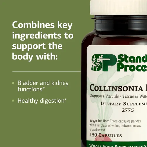 Vista 4 de Standard Process Collinsonia Root – Suplemento de apoyo de tejido vascular saludable – Suplemento de salud de la vejiga y los riñones con raíz