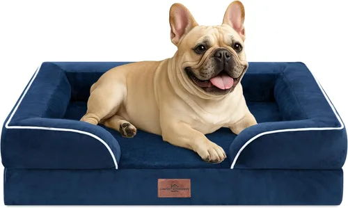 Vista 259 de Comfort Expression - Cama ortopédica para perros medianos de 30x20 pulgadas, cama impermeable de espuma de huevera para mascotas medianas
