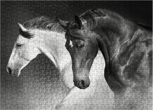 Vista 8 de MyPuzzle Horses Run Gallop in The Desert - Rompecabezas prémium de 100 piezas para adultos