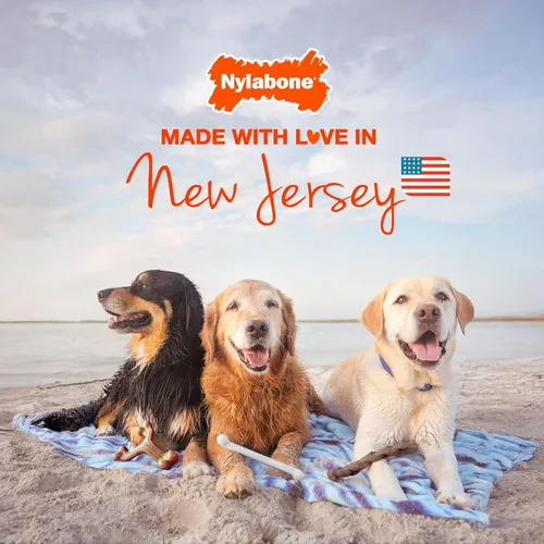 Vista 8 de Nylabone Original Bone Flexi - Paquete económico de juguetes masticables para perros, juguetes duraderos para masticadores moderados, hueso