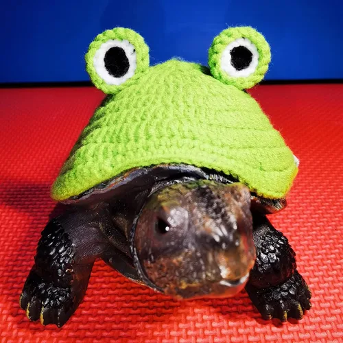 Vista 4 de Suéter para tortuga, suéter de punto cálido de invierno hecho a mano con correa ajustable, suéter de animal pequeño, ropa de tortuga para Navidad