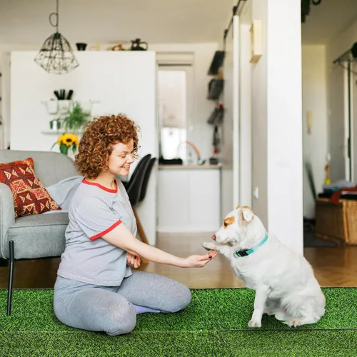 Vista 7 de Fasmov Paquete de 4 almohadillas de césped artificial para orina de conejillo de indias, 15.7 x 23.6 pulgadas, alfombra de césped artificial