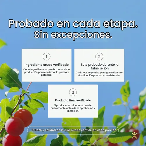 Vista 7 de Infinity Wellness - Tarro de cápsula de vitamina C verdadera – Acerola, Camu Camu y Amla 1000% o 854 mg de superalimento C Alta potencia Raíz