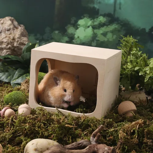 Vista 9 de Hámster Hideout Cámara de casa de madera Animales pequeños Mascotas Túnel explorador Juguetes Cobertizo secreto para hámsters enanos, hámsters