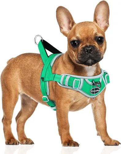 Vista 22 de ADVENTUREMORE Arnés para perro mediano - sin tirones, chaleco reflectante ajustable con asa de clip frontal para entrenamiento y caminata - Negro