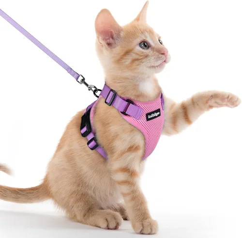 Vista 56 de rabbitgoo Arnés y correa para gatos para caminar, chaleco suave ajustable a prueba de escape para gatos, chaqueta de control fácil transpirable
