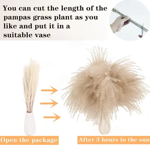 Vista 5 de Decoración de hierba seca de las pampas, 120 piezas de hierba de las pampas con colas de conejo, ramo de hierba de caña para bodas, flores bohemias