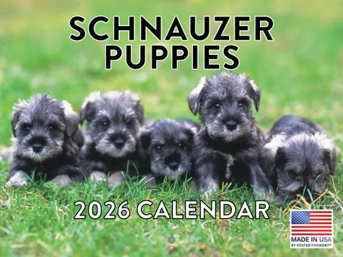 Vista 144 de Calendario Akita 2026 mensual de pared de 12 meses, fabricado en Estados Unidos