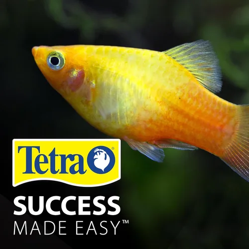 Vista 11 de Tetra Color Tropical Flakes, alimento para peces que aumentan el color, dieta nutricionalmente equilibrada para peces tropicales, 2.2 libras