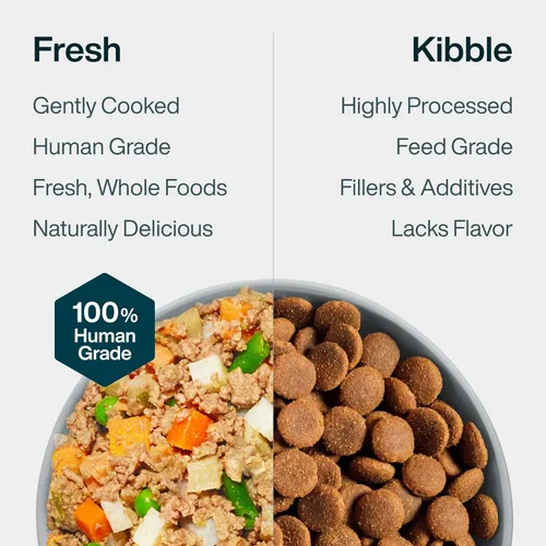 Vista 7 de JustFoodForDogs Comida Congelada Fresca para Perros, Comida Completa o Complemento, Receta de Carne de Res y Papa Russet de Grado Humano, 18 oz