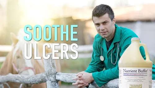 Vista 3 de (1 galón) Alivio de úlcera y ácido, ayuda digestiva, soporte gástrico superior, remedio cólico