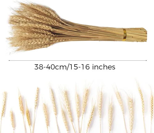 Vista 2 de Paquete de 100 tallos de trigo seco natural para decoración del hogar, manualidades