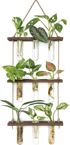 Vista 10 de Mkono Terrario para colgar en la pared de 3 niveles con soporte de madera, maceta de vidrio para corte de plantas hidropónicas, decoración