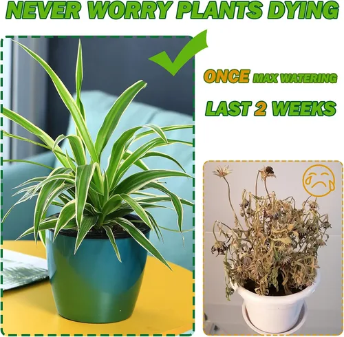 Vista 3 de Planterhoma Paquete de 5 macetas de riego automático prémium para plantas de interior, oro rosa, 6.7 pulgadas