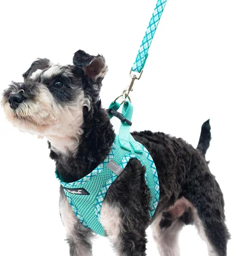 Vista 8 de Pupteck Juego de arnés y correa para perros pequeños y medianos, cachorros, gatos, sin tirones, de malla suave, chaleco reflectante por la noche