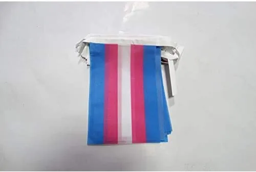 Vista 362 de Guatemala 19.7 ft BUNTING Flag 20 banderas 9'' x 6'' - Banderas de cuerda guatemalteca 5.9 x 8.3 in - AZ FLAG