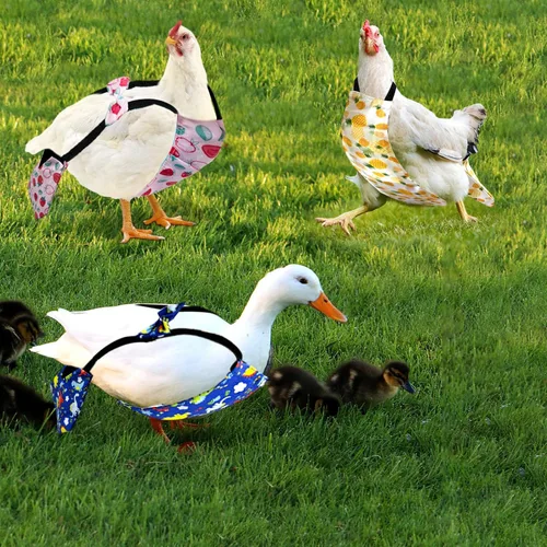 Vista 7 de 3 piezas de pañales de pollo para gallinas, pañales para mascotas, pañales reutilizables para pollo, accesorios de ropa con pajarita para aves